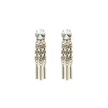 Load image into Gallery viewer, CASTELL earrings crystal and silver-plated
